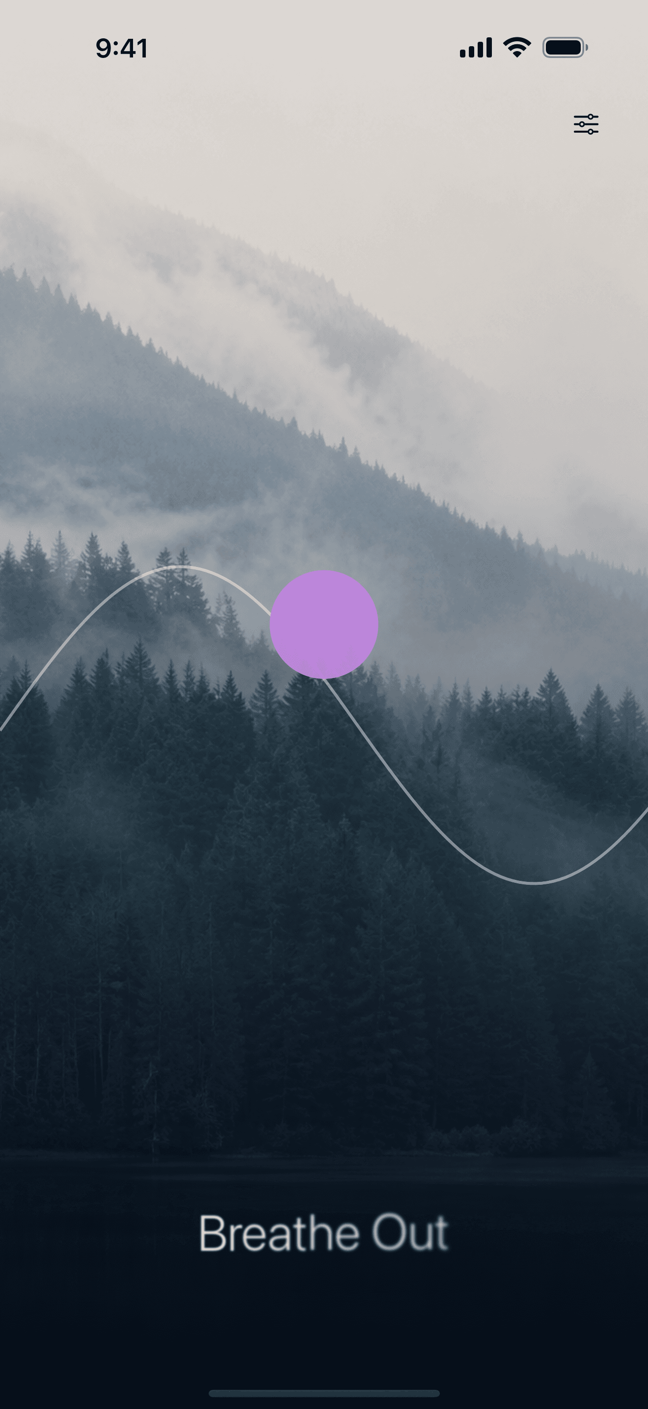 Misty Forest background in Breathe